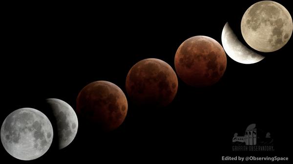 ObservingSpace's tweet photo. Composite pic of the Oct. 8 Total #LunarEclipse created from the Griffith Observatory live feed #bloodmoon #eclipse http://t.co/ToUvqpnku5