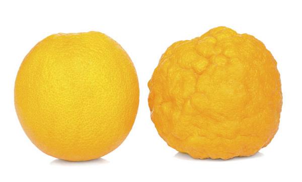 Cosmopolitan_es's tweet photo. Todo lo que dabas por cierto sobre la #celulitis y no lo es: http://t.co/lefZUVFFyW http://t.co/AbdizdrZPX