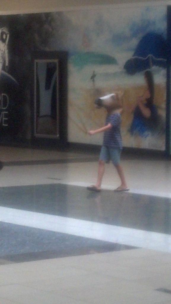 willred47's tweet image. Another strange sighting! This particular specimen decided to walk through the mall with a realistic horse head on...