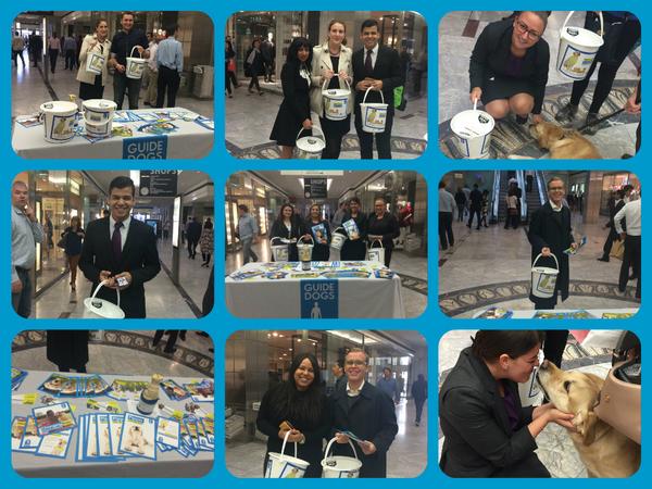 Our fabulous team at <a href="/MorganStanley/">Morgan Stanley</a> collecting money for <a href="/guidedogs/">Guide Dogs</a> last week. £400! Well Done! #PorticoPuppy
