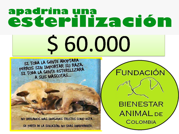 Fundacion_BAC's tweet photo. http://t.co/BTkQv9puxr