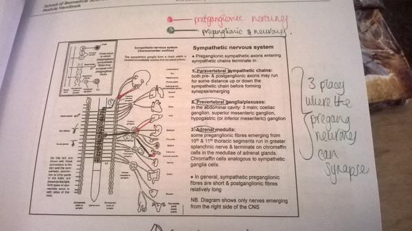 _veganayrto's tweet image. #notsofun