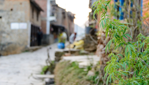 DafuqAfrica tweet media