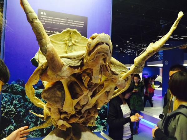 evaporation tweet media