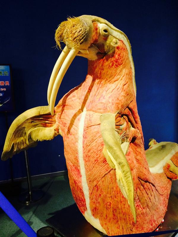 evaporation tweet media