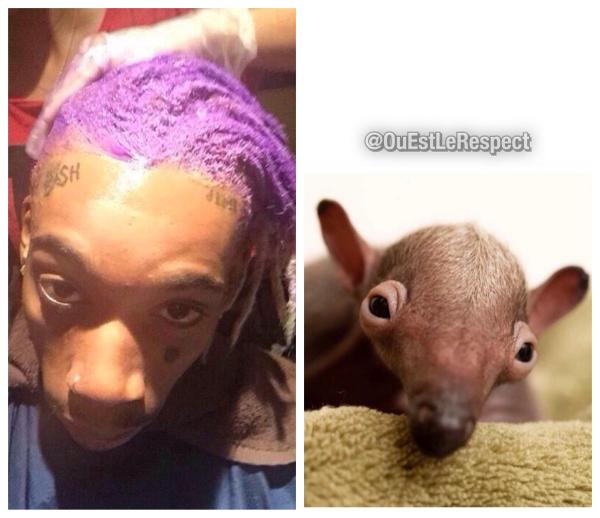 OuEstLeRespect's tweet photo. HAHAHAHAHA REGARDEZ ÇA #MaisOuEstLeRespect http://t.co/SezSZ33pEs