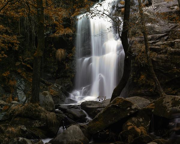 One of our photography all-stars captured what might be the best fall photo on Jux. More at bit.ly/1rXEg5o