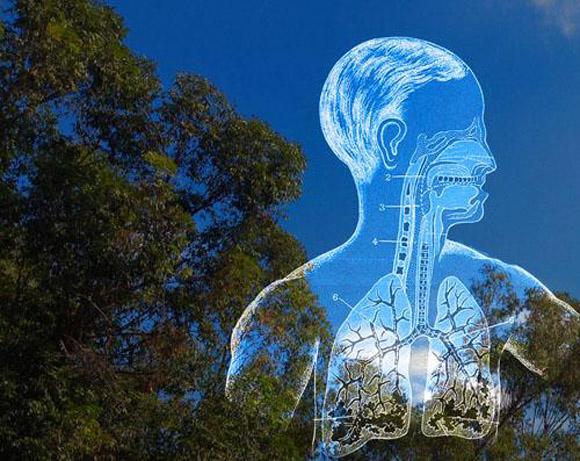 Holly Willis tweet media