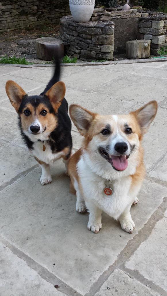 Jazzie n Tjokkie tweet media