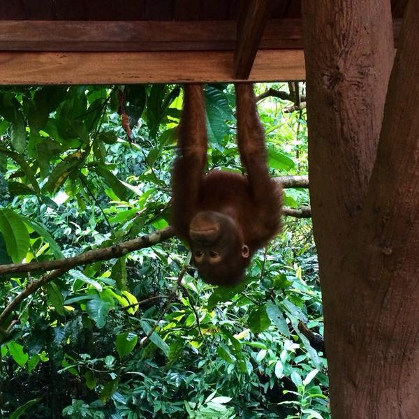 leah_moo's tweet image. Sudden pang of honeymoon blues.The need for a blanket to snuggle whilst on the sofa has brought this on!