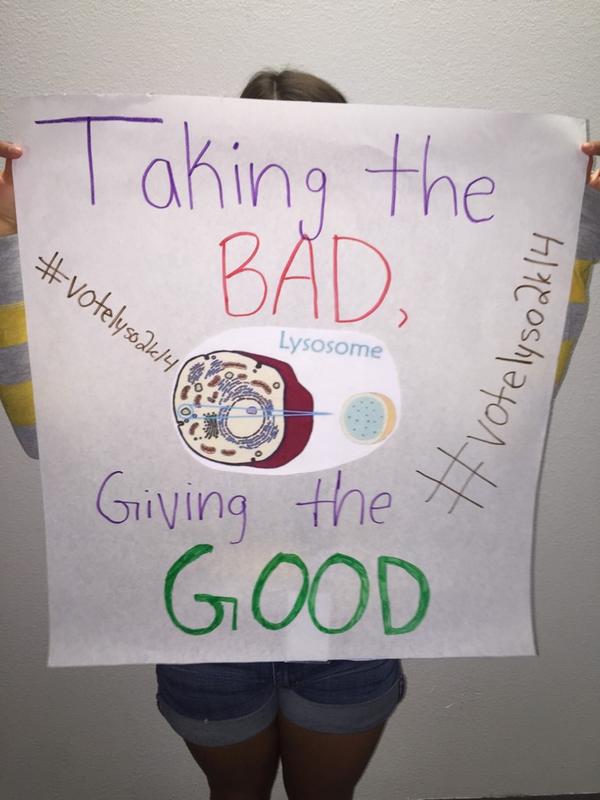 votelyso2k14's tweet photo. #CatFootMVO #VoteLyso2k14 #slogans http://t.co/GSv1cr1nOc