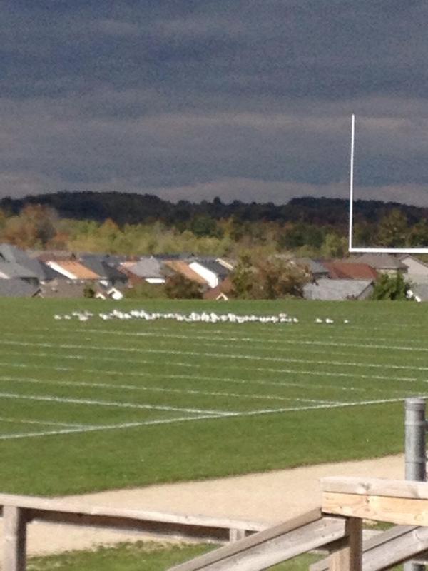 SJAMRelatable's tweet image. Squad goals