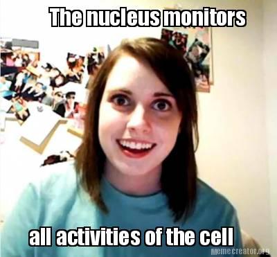 goforgolgi's tweet photo. Thinking of voting for the nucleus dictator? We don't need anyone to control our activities! We are doing just fine! http://t.co/1G2DF7pBog