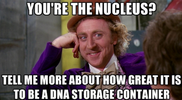 _Cyto_Skeleton_'s tweet photo. How does it feel?? #CatFootMVO #Organellewars #follow #Retweet #Favorite #Cytoskeleton #best #Cell #Science #biology http://t.co/dXY6vKxabP