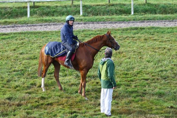 Carberry Racing tweet media