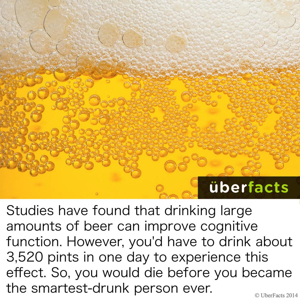 Homel David On Twitter “uberfacts Drinking A Lot Of Beer Can Make You Smarter