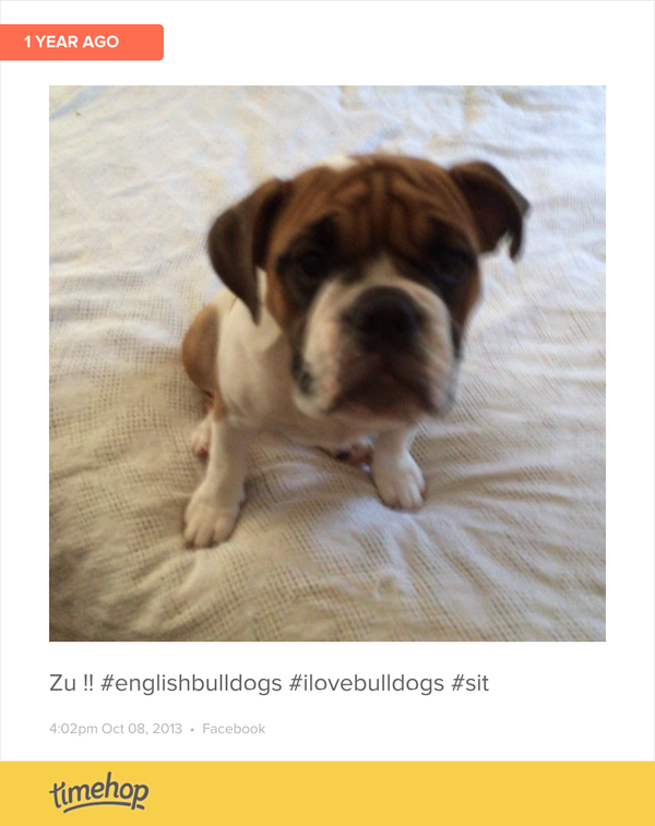 IrishGirl1279's tweet photo. she was so tiny ! http://t.co/GVMHj8ttFN http://t.co/68CM10Bxsl