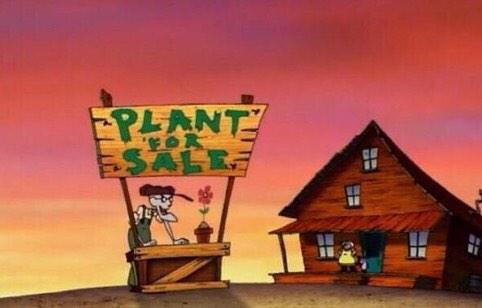 Plein De Vie tweet media