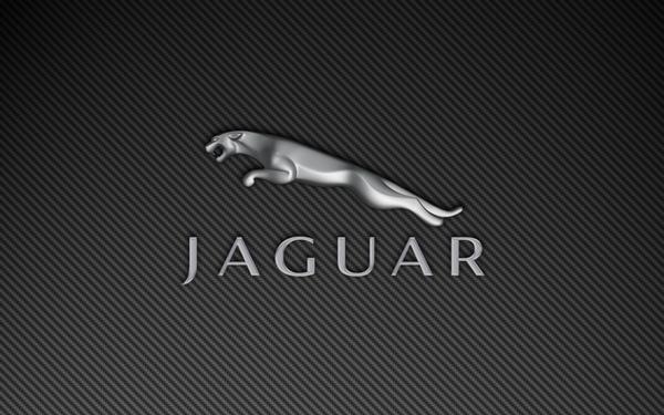 #SexyLogos tweet media