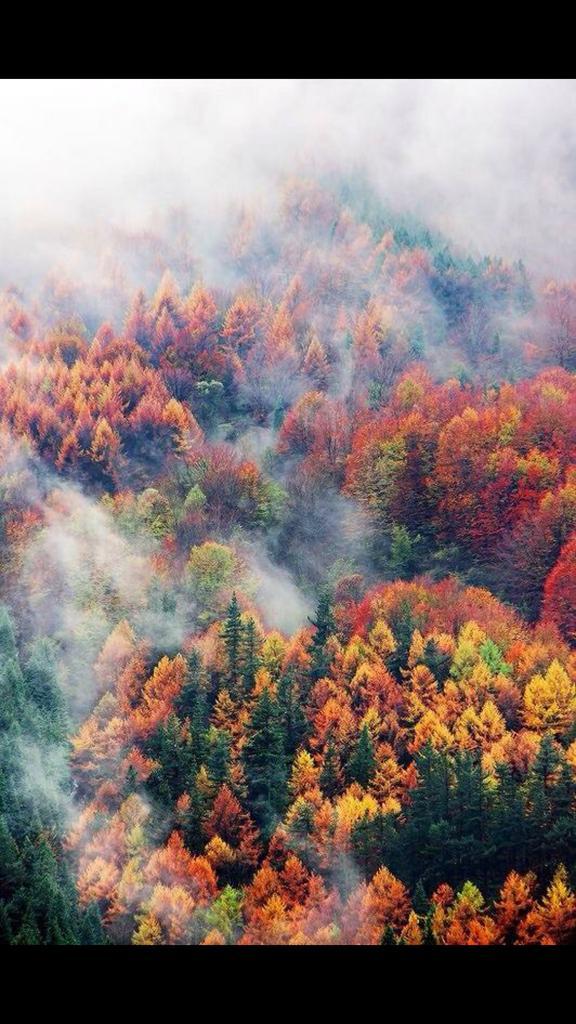PlanetEarthPics's tweet photo. Fall 😍 http://t.co/QPKkOTn3eQ