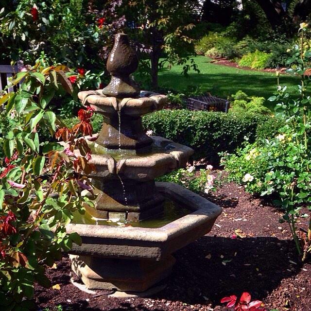 Embedded image permalink