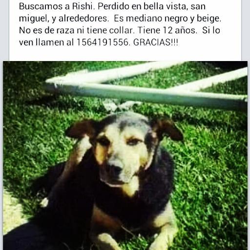 delfinitris's tweet photo. Por favor difundir!!!!!!! Rt rt http://t.co/gczK1i7ThV