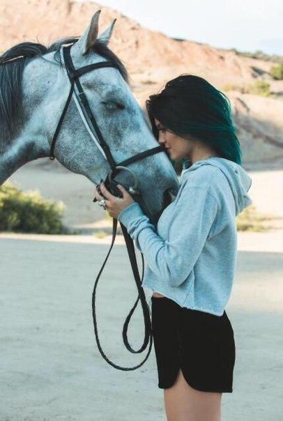 itssilverafter's tweet photo. 🐘🐴🐶 http://t.co/INUTaiLSKC