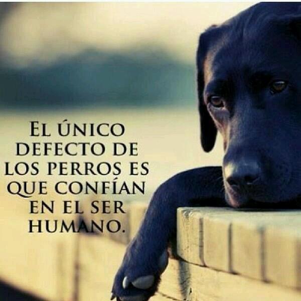 raquelrz1's tweet photo. Ya es tarde :'(  #SalvemosaExcalibur http://t.co/xKD2bNgZJE