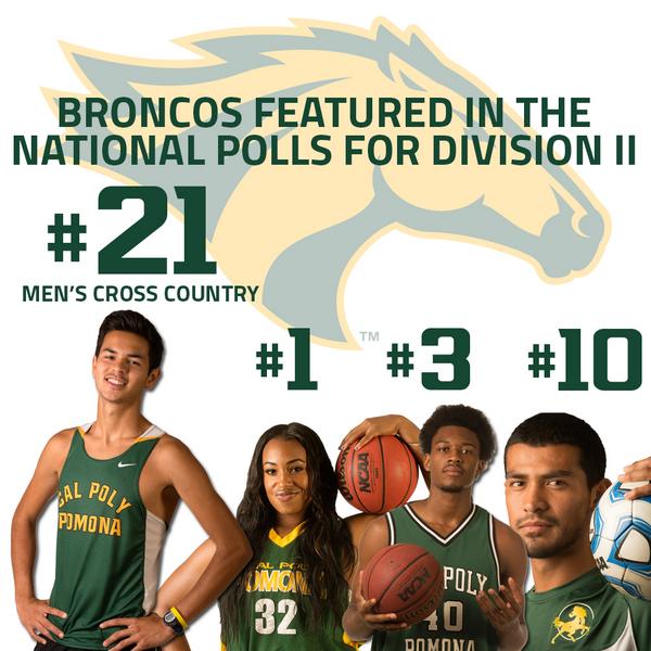 cppbroncos's tweet image. Add another to the list. Men's cross country joins basketball &amp;amp; men's soccer in national spotlight. #WeAreCPP