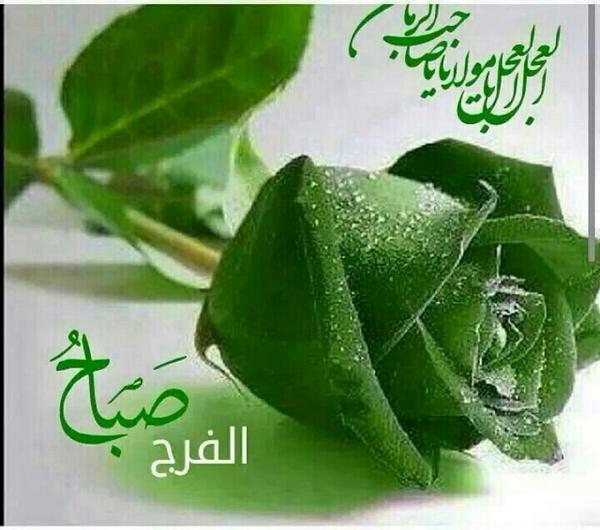 alialsayed401's tweet image. 