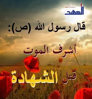 alialsayed401's tweet image. 