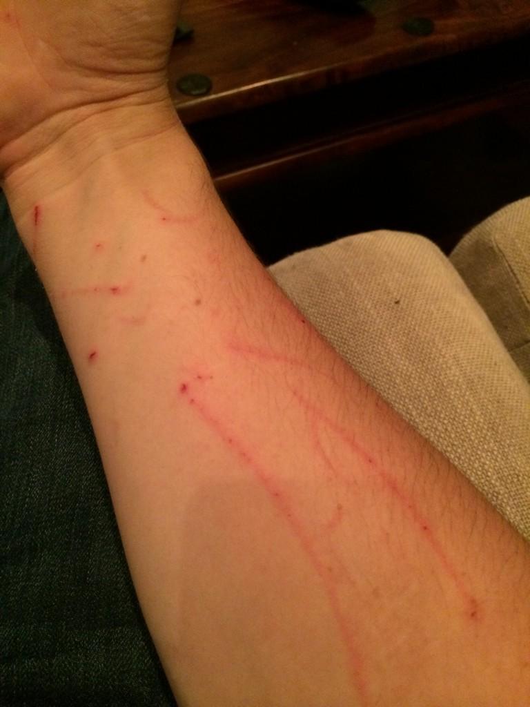 Embedded image permalink