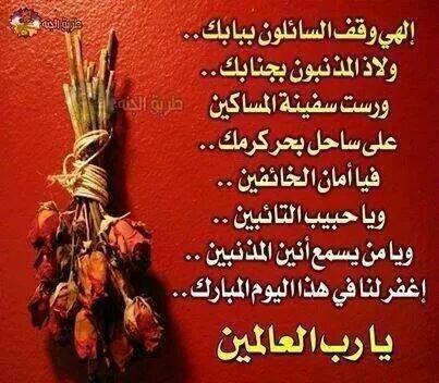 alialsayed401's tweet image. 