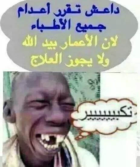 alialsayed401's tweet image. 