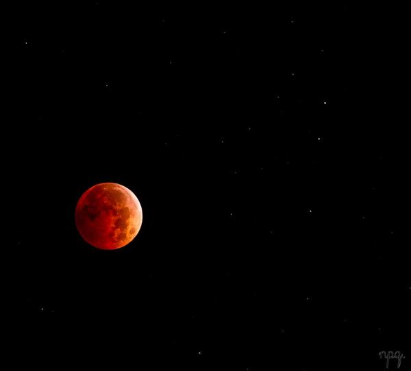 MalikaDudley's tweet image. Did you see it? My favorite "Blood Moon" Total Lunar Eclipse photo from last night! PC: Nadine Quinsaat #bloodmoon