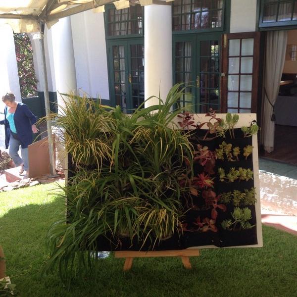 podplants's tweet photo. 25 pod- grasses on the left and succulents on the right. The options are endless http://t.co/gt7PsX4ydM