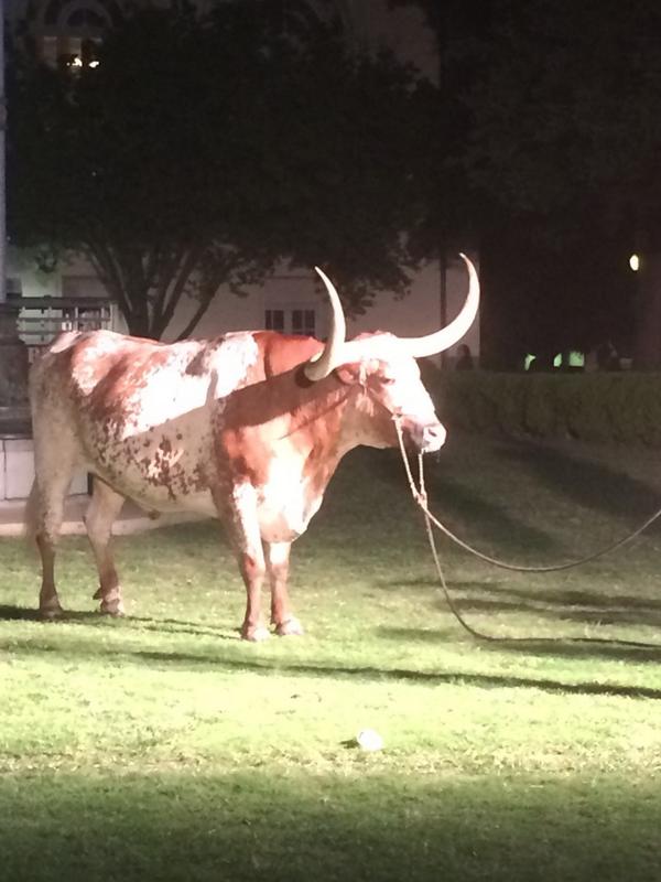 TexasExes's tweet photo. Look who just arrived #torchlightrally http://t.co/brQQ8M0ILM