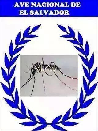 MoisesRuth's tweet photo. :-) mira @ayalacar22  algo Asi estamos http://t.co/UhES3KHn8E