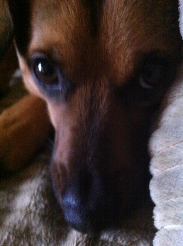 EvanFreedev's tweet image. @megalot_  #studying? #ownerproblems