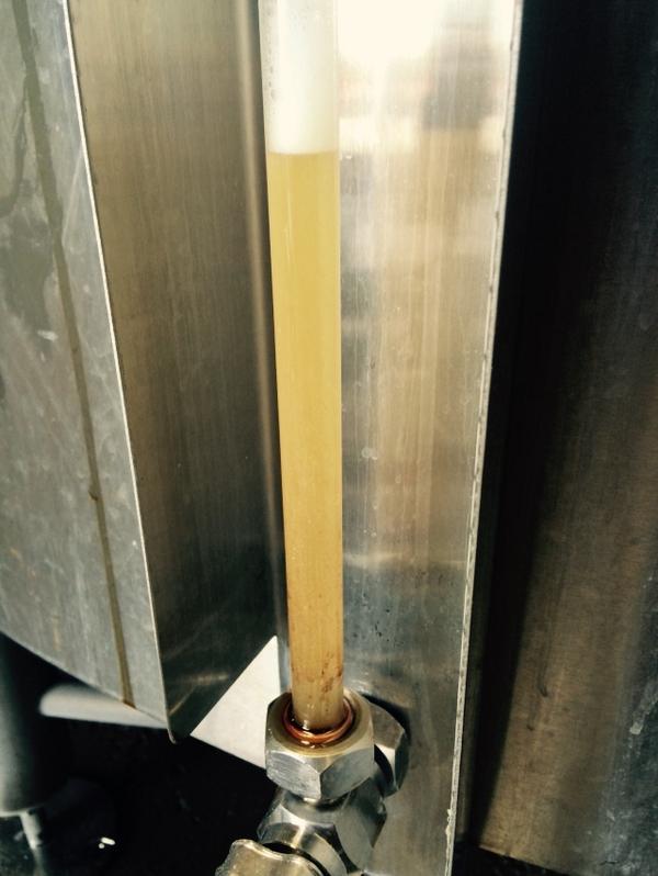 YazooHopProject's tweet photo. #HP80 in the brew kettle. A golden tinge to it? Whatever could that mean? More to come... http://t.co/KoKzvoLpI9