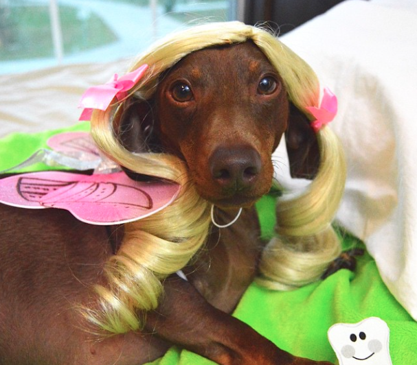 Embedded image permalink