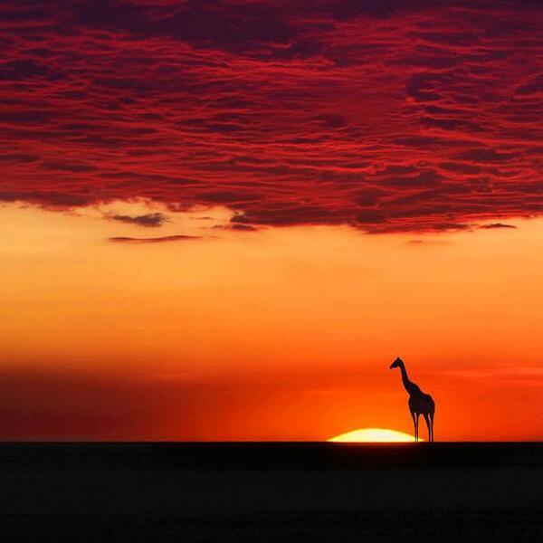 _Paisajes_'s tweet photo. Sólo en África. http://t.co/Ac3iIxFdLm