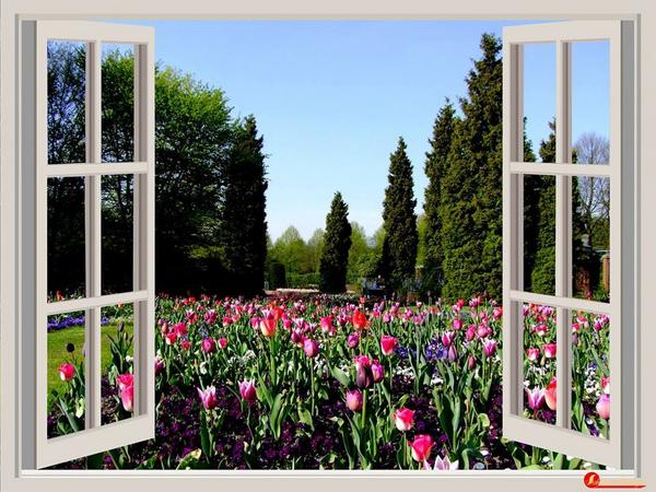 Drc_19's tweet photo. http://t.co/pDNaI7cN0w