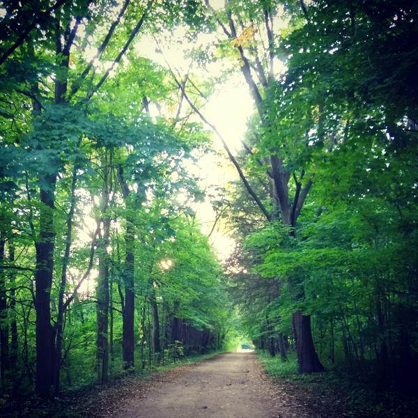 GravyWagon's tweet image. #AbstractWPC 
#WPCpc