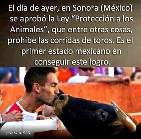 DankroftK9's tweet image. RT BRAVO ! 👏👏 ojalá y pase en todo el mundo . Felicidades Sonora, #México #NoAlMaltratoAnimal