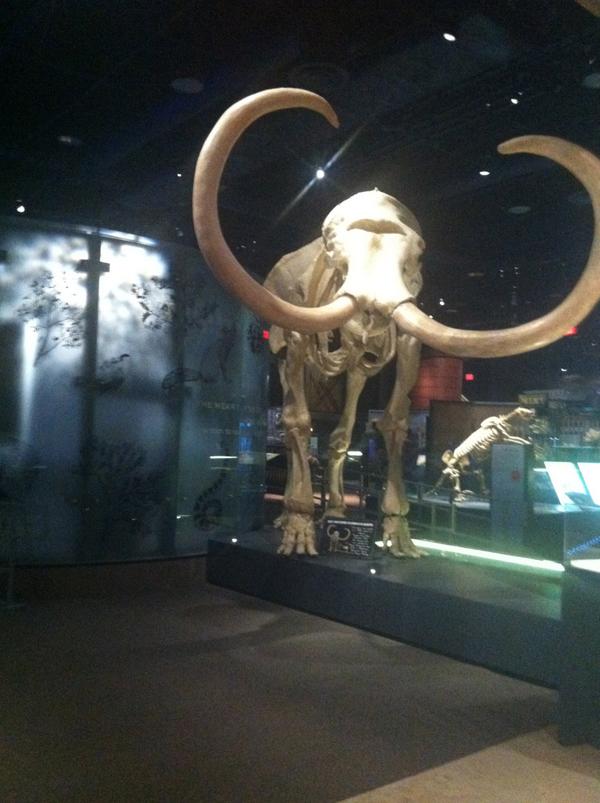 RothProjects's tweet photo. Pleasant last moments of #wma2014 exploring @SpringsPreserve, reconnecting @nsmlv & "musings." Thank you, @westmuse! http://t.co/PZ156YVeie