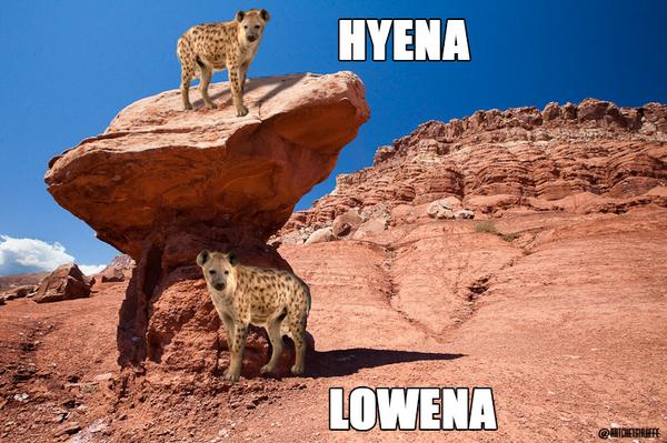 RatchetGiraffe's tweet photo. RT IF YOUR MIND WAS BLOWN http://t.co/myG8eovcHe