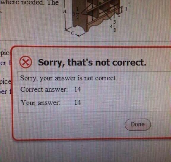 Arguing with a girl