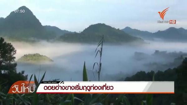 ดอยอ่างขาง จ.เชียงใหม่ เริ่มฤดูท่องเที่ยว news.thaipbs.or.th/node/270233 #ThaiPBS <a href="/go2Thailand/">AmazingThailand</a>