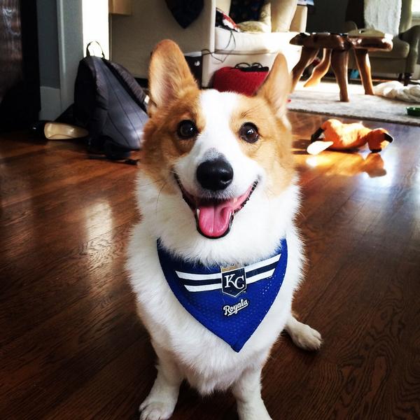 Margo Short tweet media